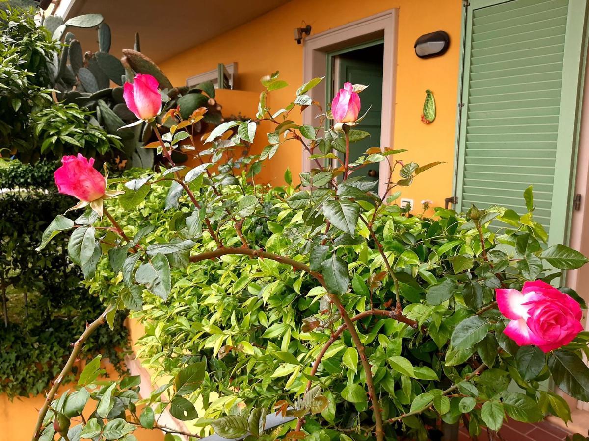 Casa Marta Bed & Breakfast Massa  Exterior foto